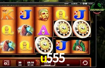 Apostas Esportivas na u555: Um Guia Completo